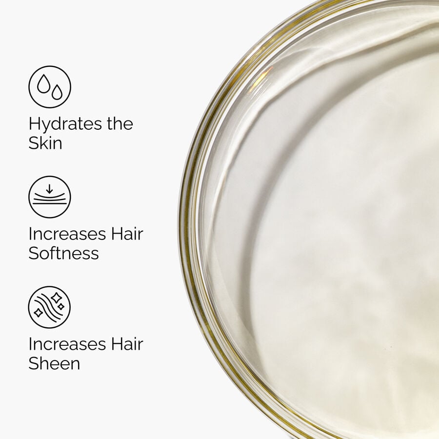 100-organic-cold-pressed-moroccan-argan-oil-b4 FY25-D41247-ORD-Web-PDP-100-Argan-Oil-1x1-EN-3.jpg