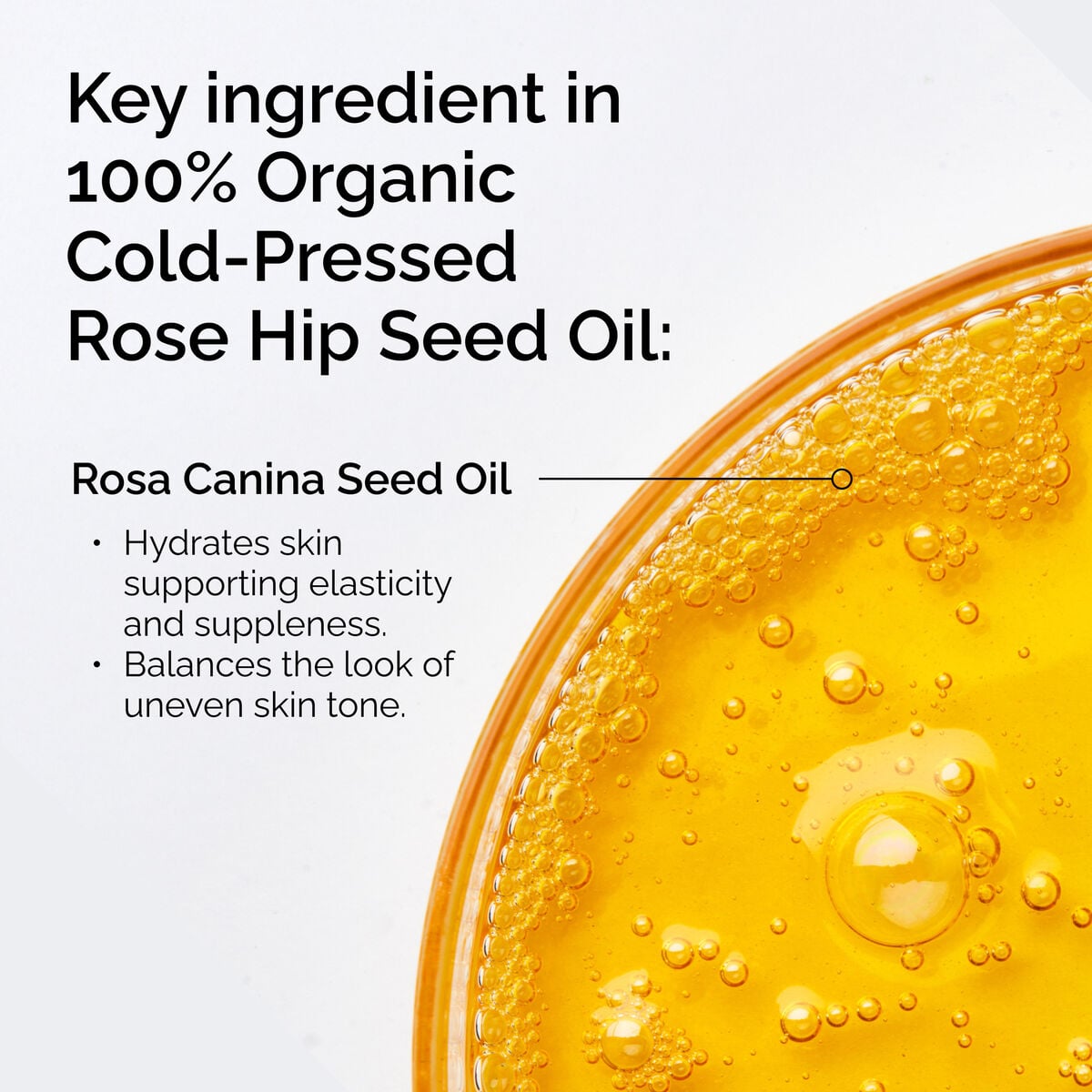 100-organic-cold-pressed-rose-hip-seed-oil-v6 FY25-D41247-ORD-Web-PDP-100-Rose-Hip-Oil-1x1-EN-2.jpg