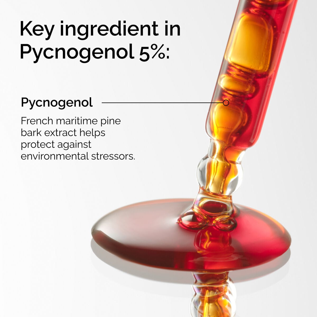 pycnogenol-5-h9 FY25-D41247-ORD-Web-PDP-Pyc-5pct-1x1-EN-2a.jpg
