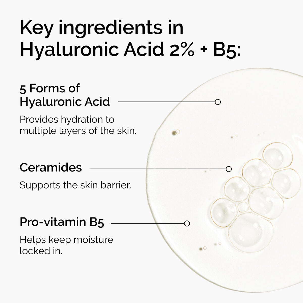 hyaluronic-acid-2-b5-with-ceramides-w6 ord-hyaluronic-acid-2pct-b5-hydrating-serum-ingredients-graphic.jpg