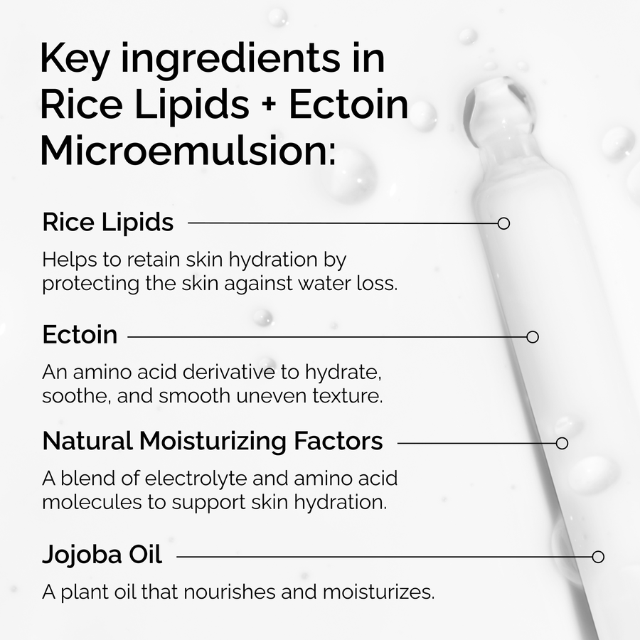 rice-lipids-ectoin-microemulsion-g2 ord-rice-lipids-ectoin-microemulsion-key-ingredients.png