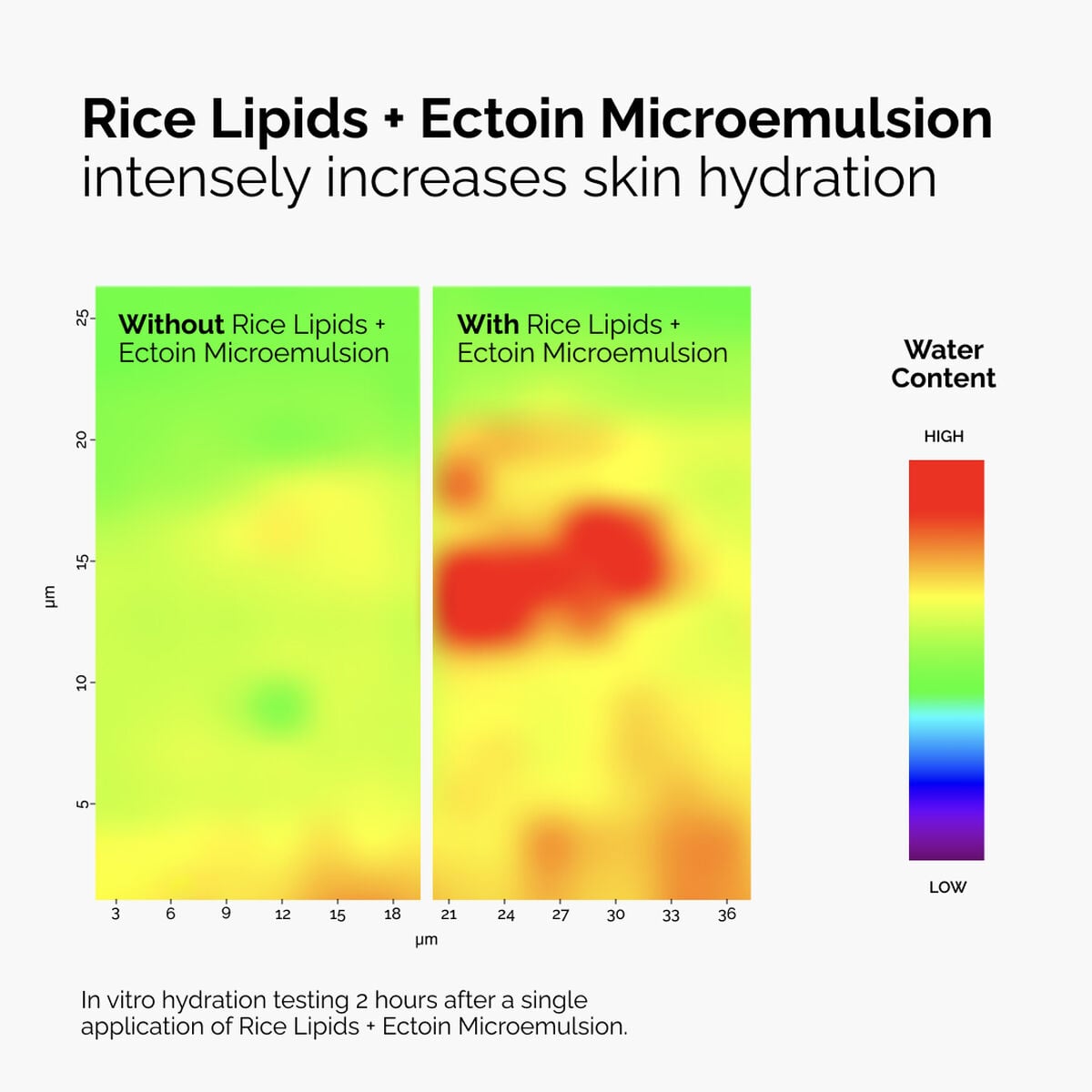 rice-lipids-ectoin-microemulsion-g2 ord-rice-lipids-ectoin-microemulsion-thermal-before-after.jpg